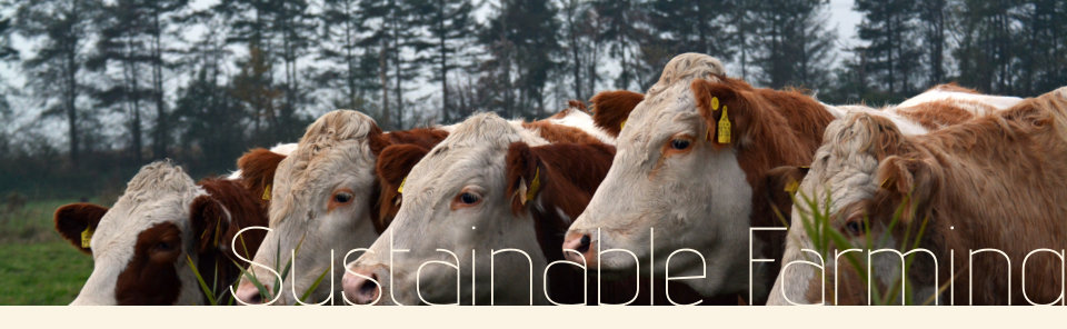 Gippsland Farm Solutions